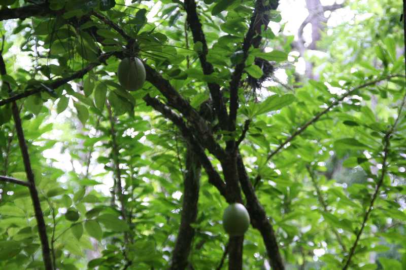 Mexico & Guatemala 2010 - 0854